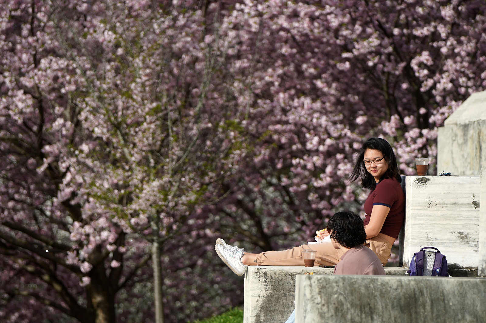 Basking amid beauty